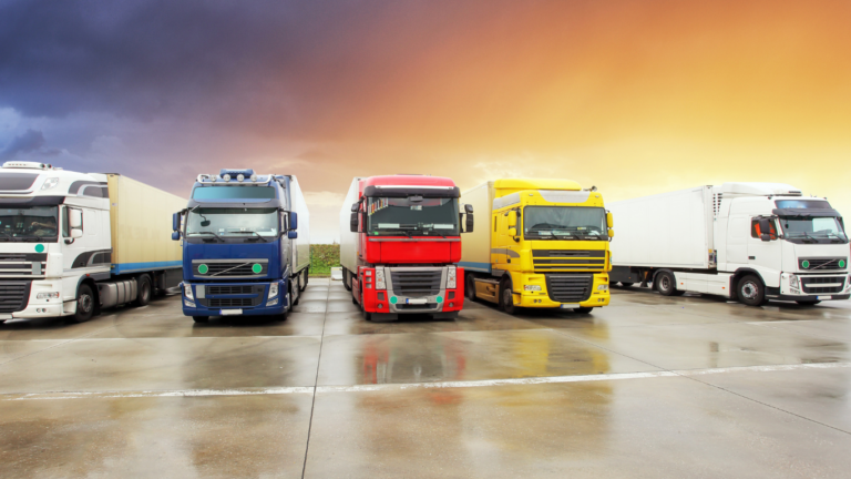 Read more about the article Kako pripremiti flotu za letnju sezonu?